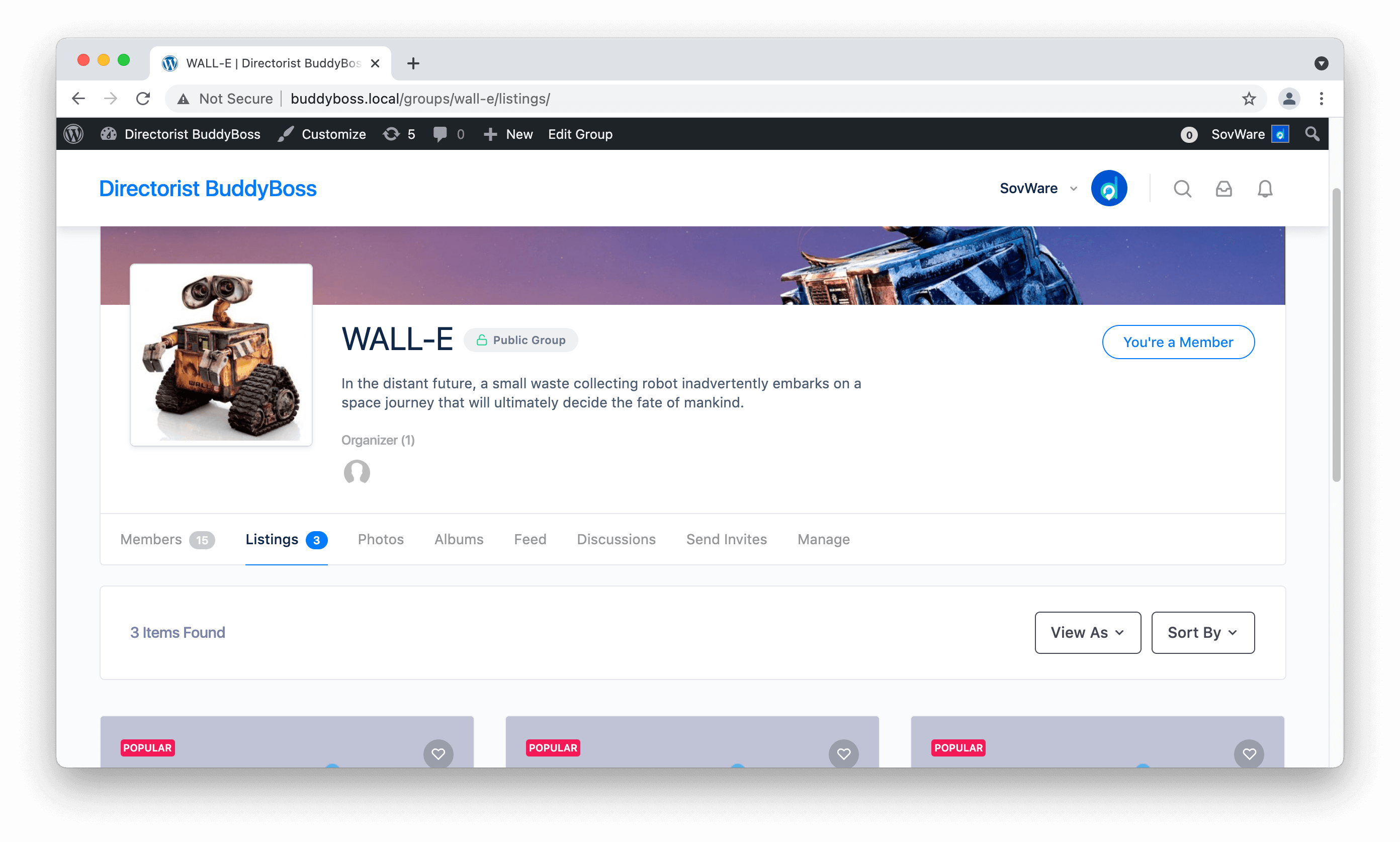 wordpress BUSINESS DIRECTORY PLUGIN
